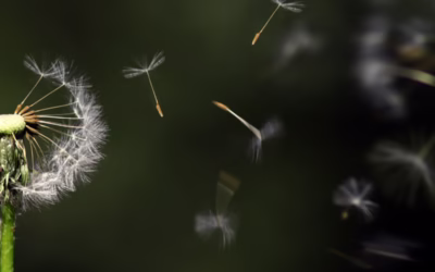 Skicka SMS och E-post från webben